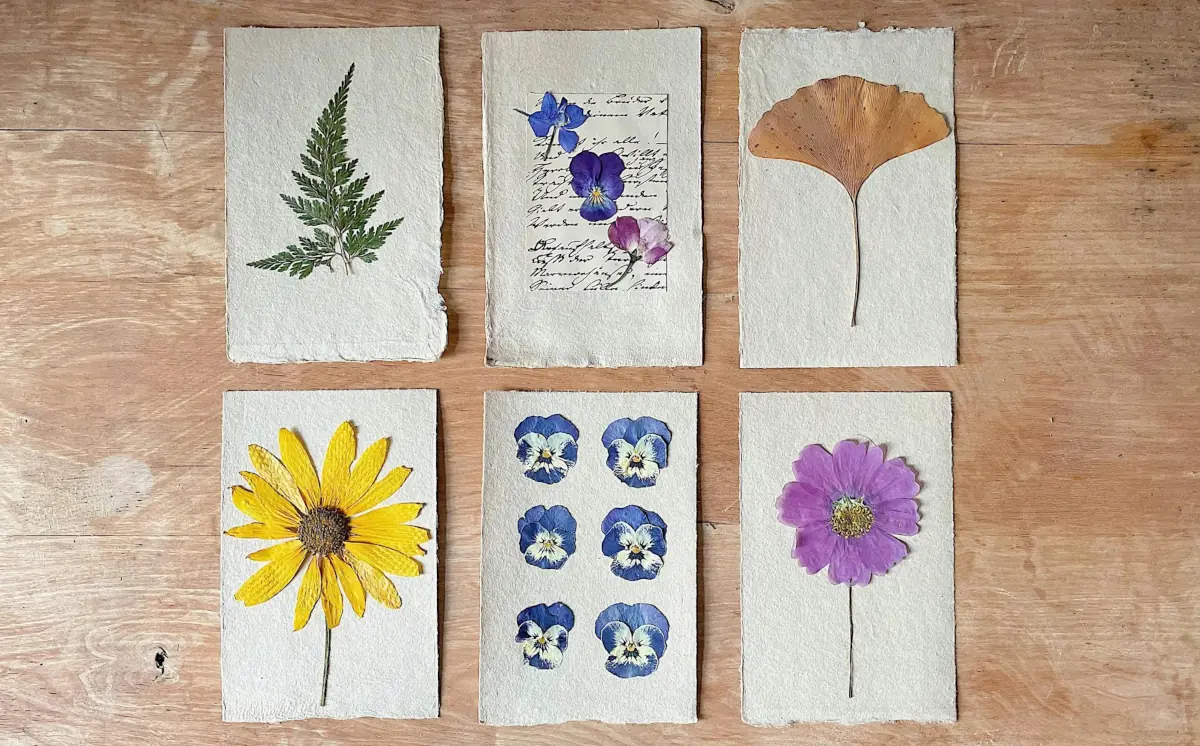 Erbario Herbarium