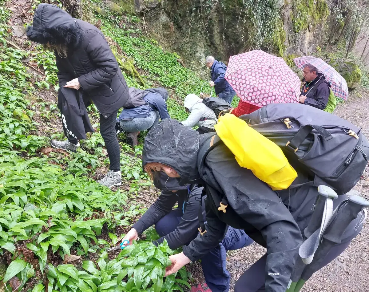 Trekking alla ricerca dell'aglio Orsino