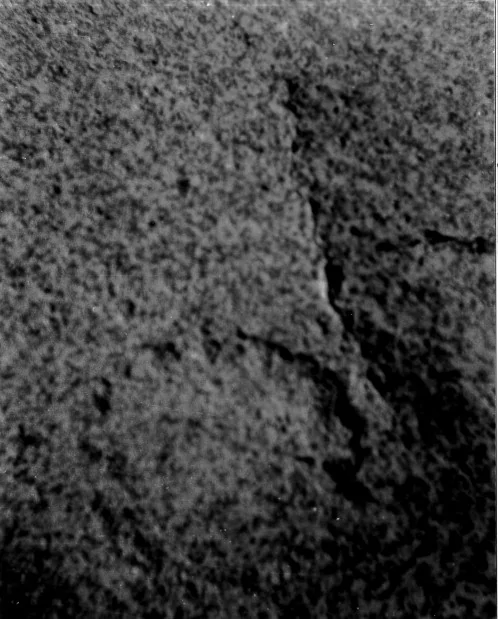Dettaglio della roccia del masso erratico di Bodio Lomnago.